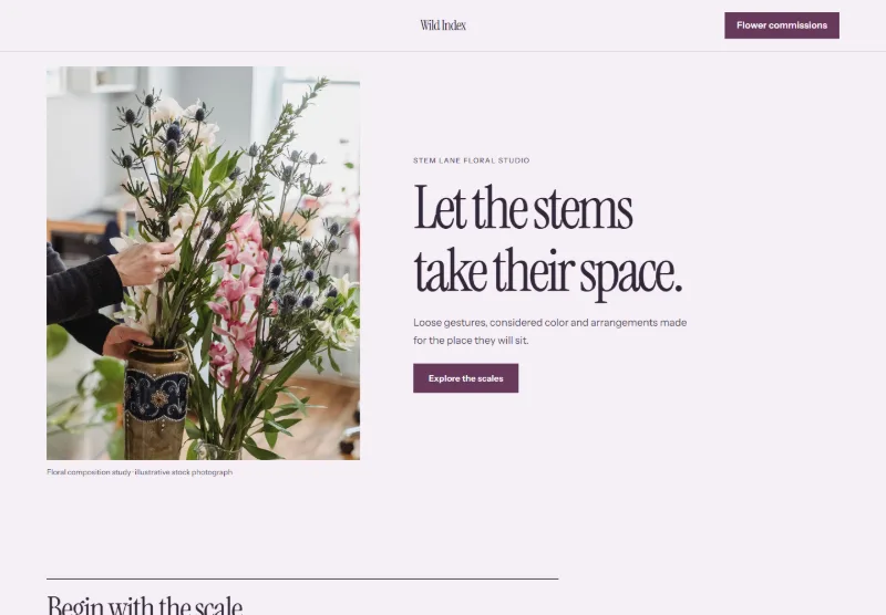 Wild Index website concept