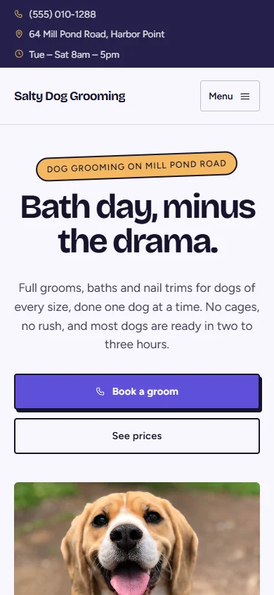 Salty Dog Grooming phone layout