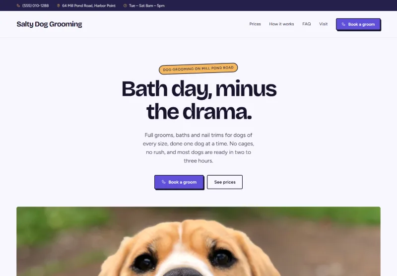 Salty Dog Grooming website concept