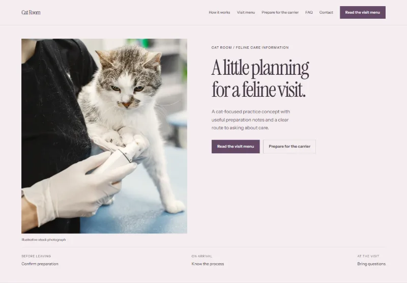 Cat Room website concept