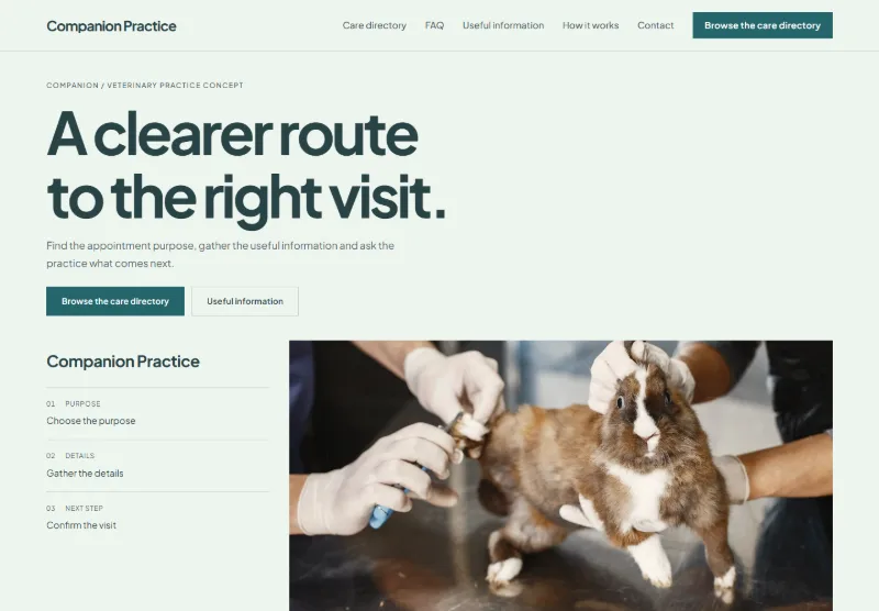 Companion Practice website concept