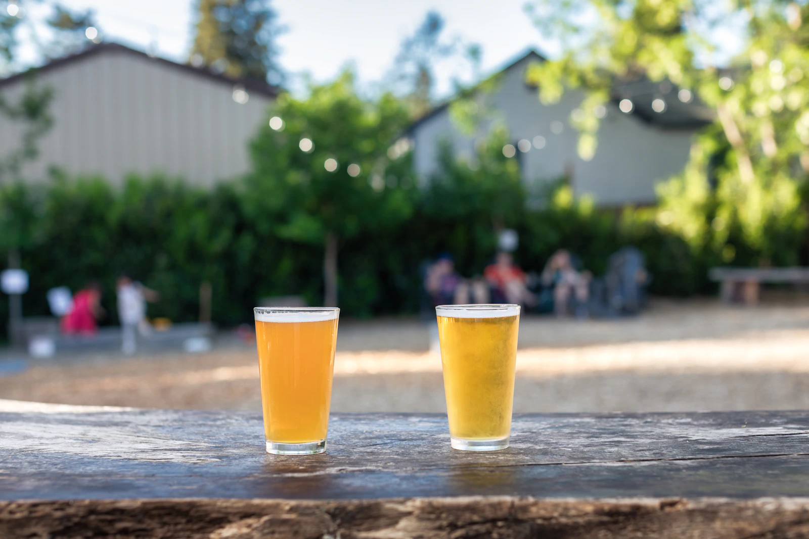 Two glasses of beer on a wooden garden table