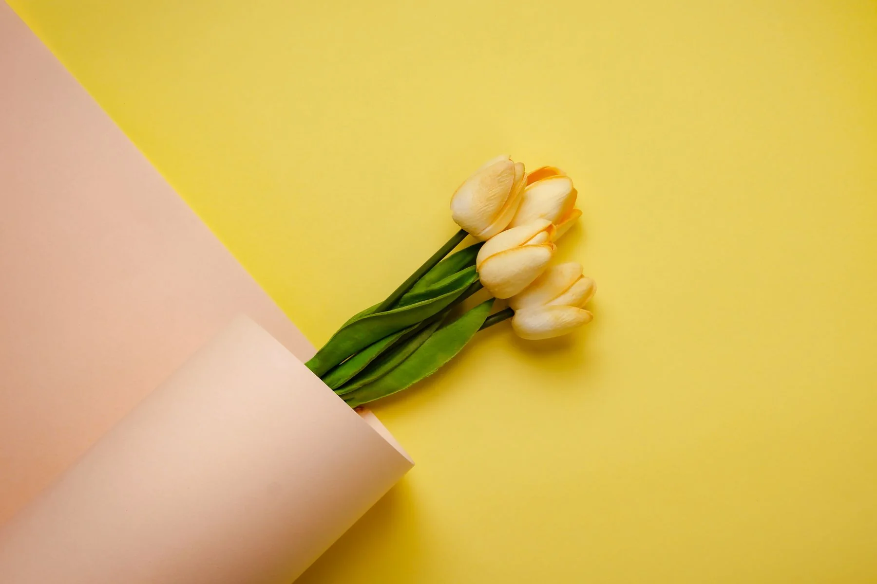 Yellow tulips wrapped in pink paper