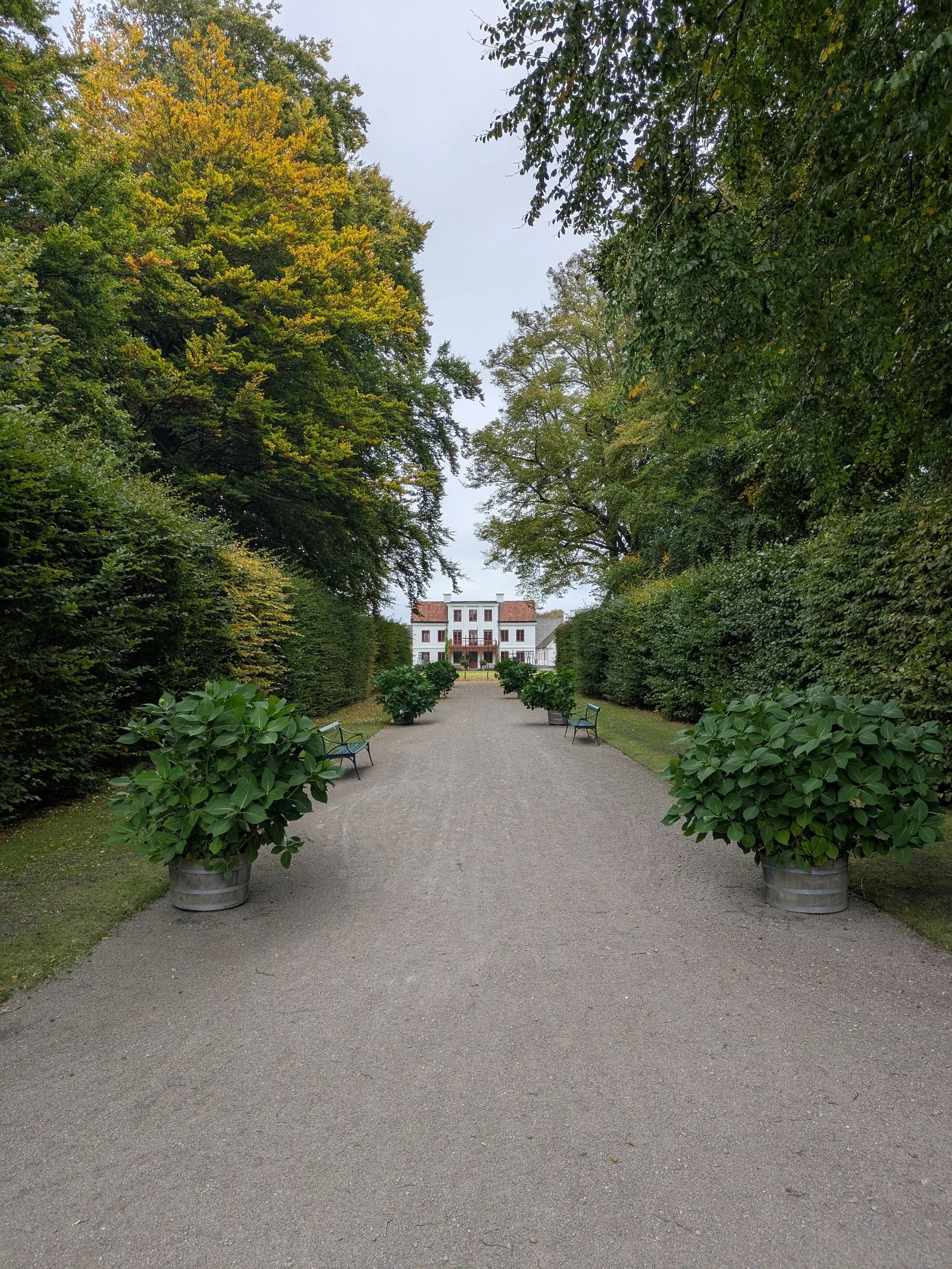 Formal garden path framed by potted plants and trees