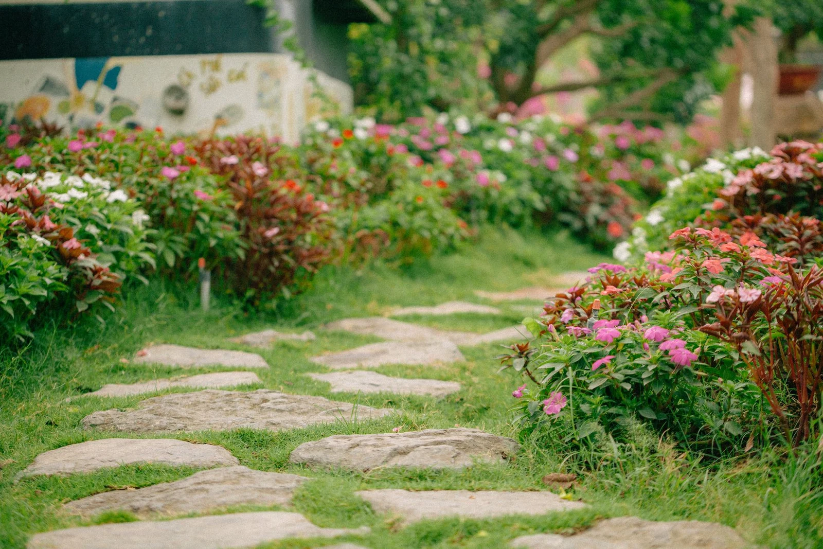Flowering borders alongside a garden pathway