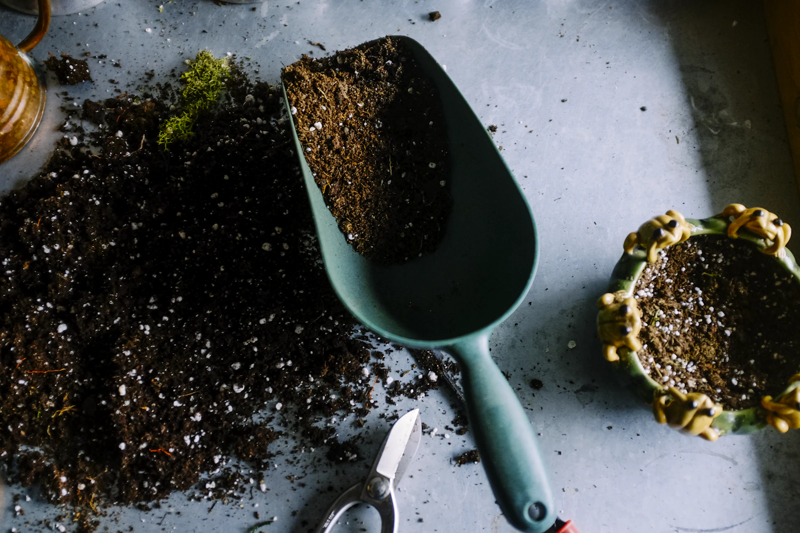 Trowel and plants on garden soil